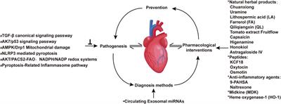 Editorial: Chronic inflammation and pharmacological interventions in cardiovascular diseases